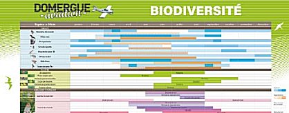 Biodiversite